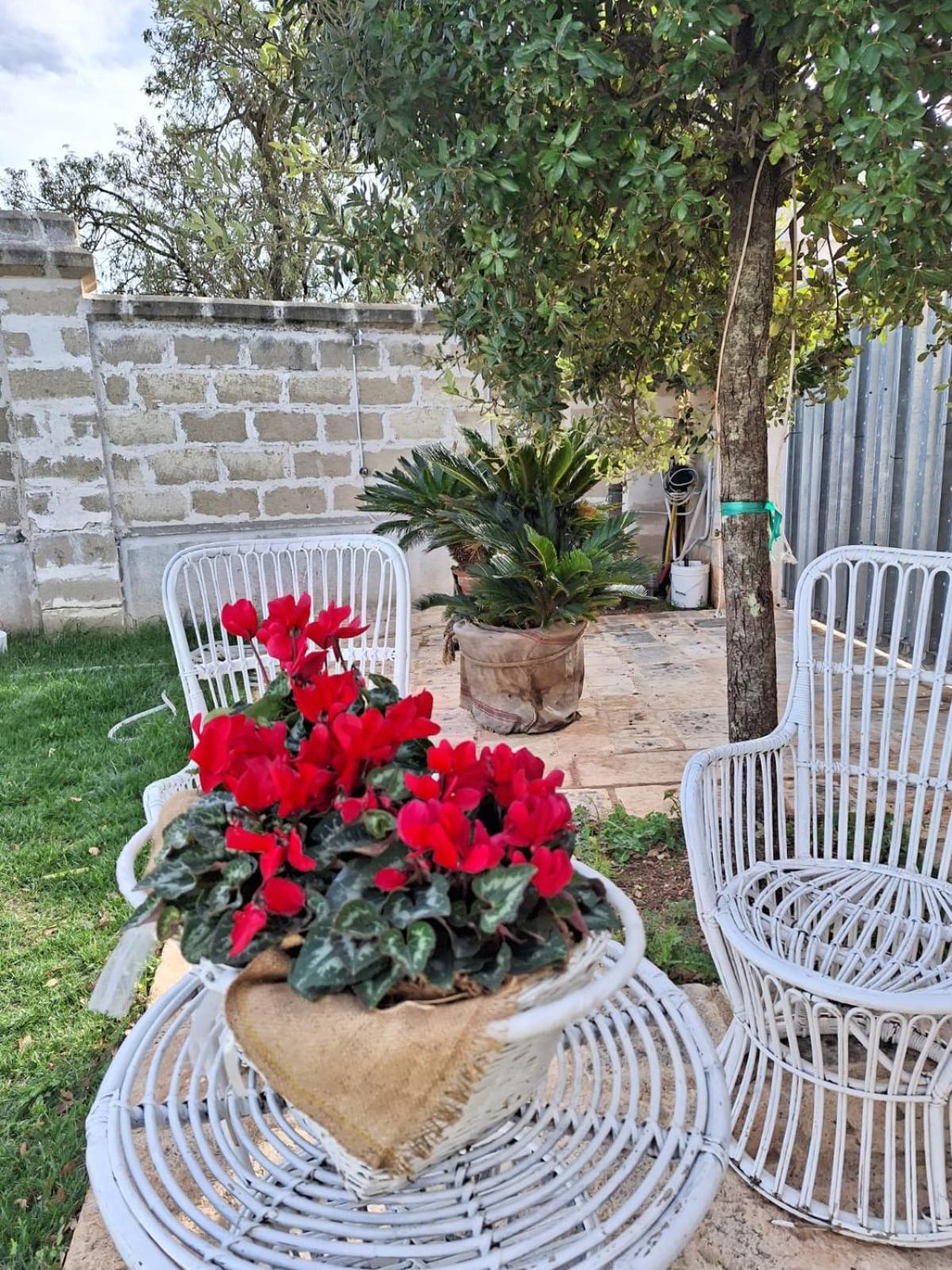 B&B Le Torri Santeramo in Colle Εξωτερικό φωτογραφία